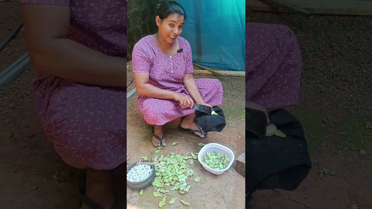 കശുവണ്ടി വെച്ച് ഒരു കറി വച്ചാലോ🥰🥰 പച്ച കശുവണ്ടി കൊണ്ട് 👍👍👍