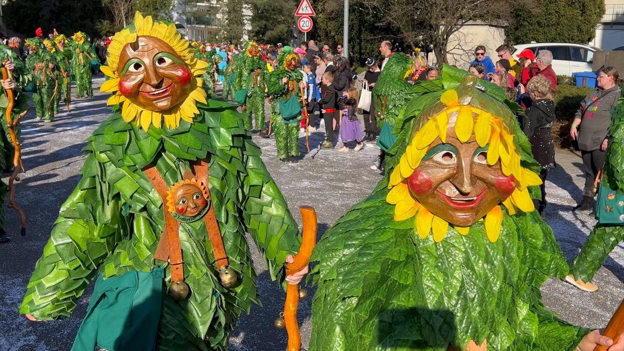 Fastnachtsumzug Baden-Oos 2025 4K Video