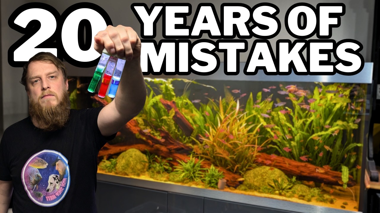Stop Killing Your Fish: The Biggest Mistakes Fishkeepers Make!