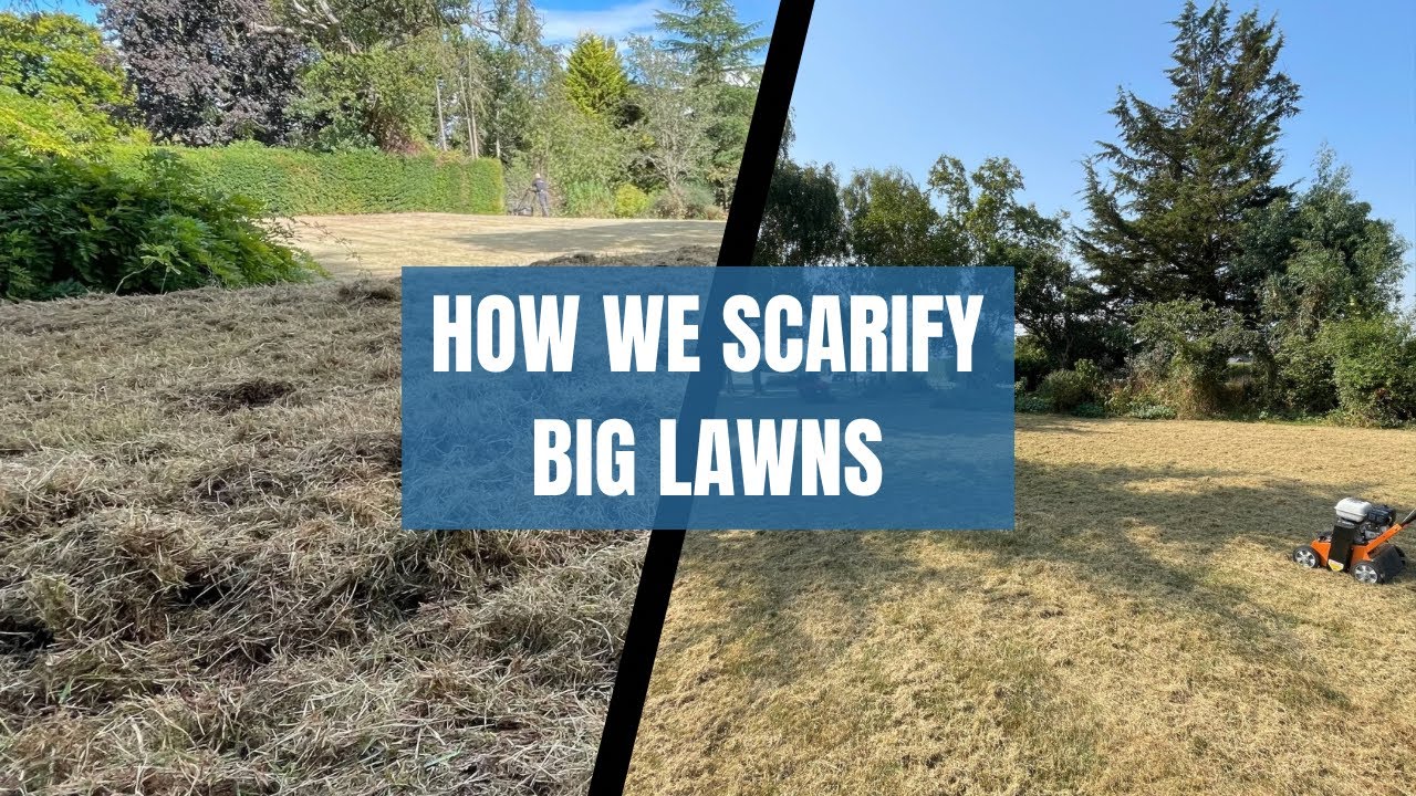 How to professionally scarify a big 1800m2 lawn