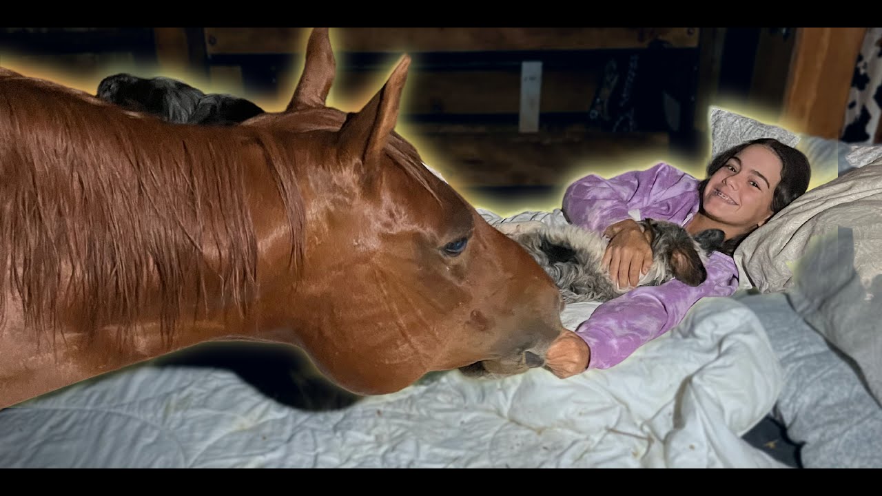 DORMÍ con mi YEGUA en su Caballeriza 🤠🐴