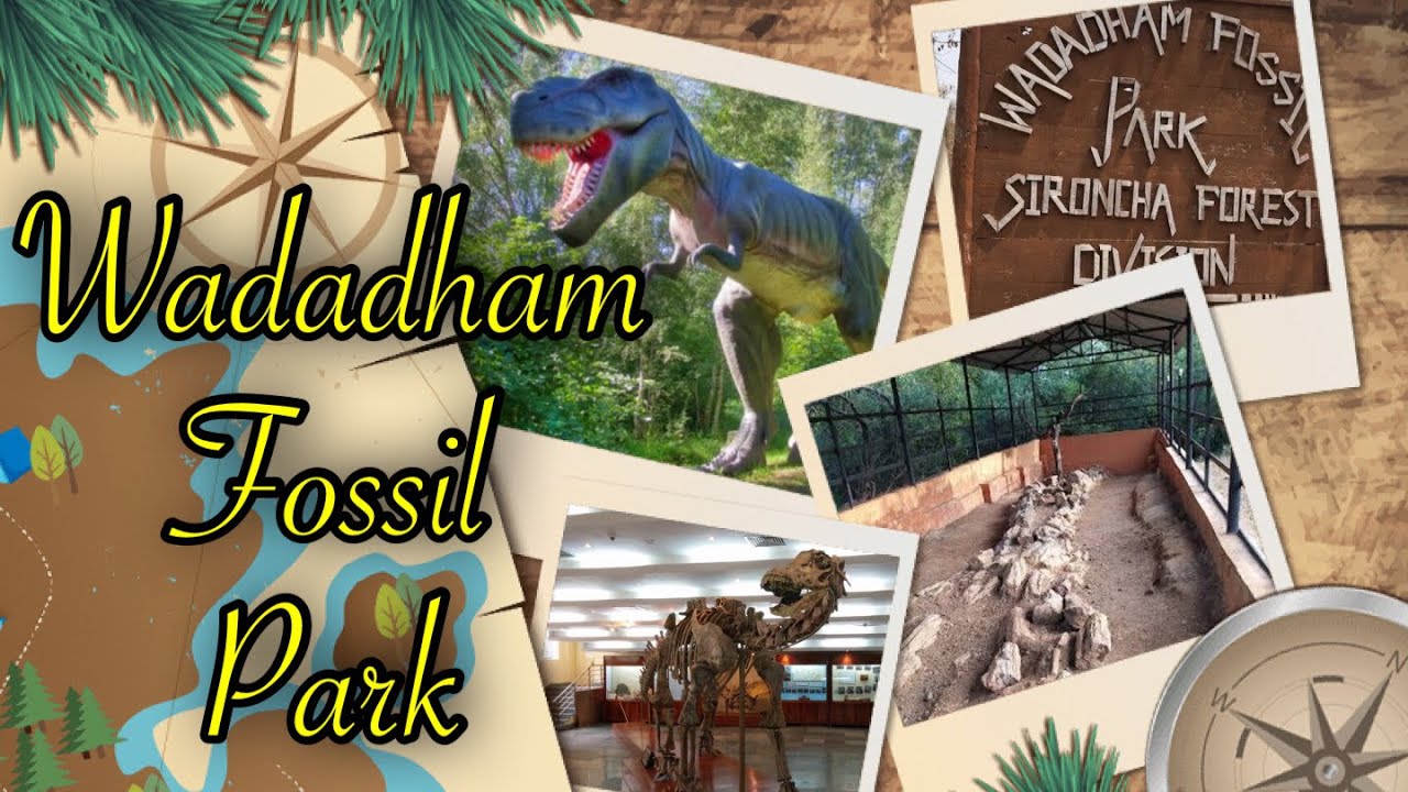 Wadadham Fossil Park in Maharastra| తెలంగాణ కు కూతవేటు దూరం లో|