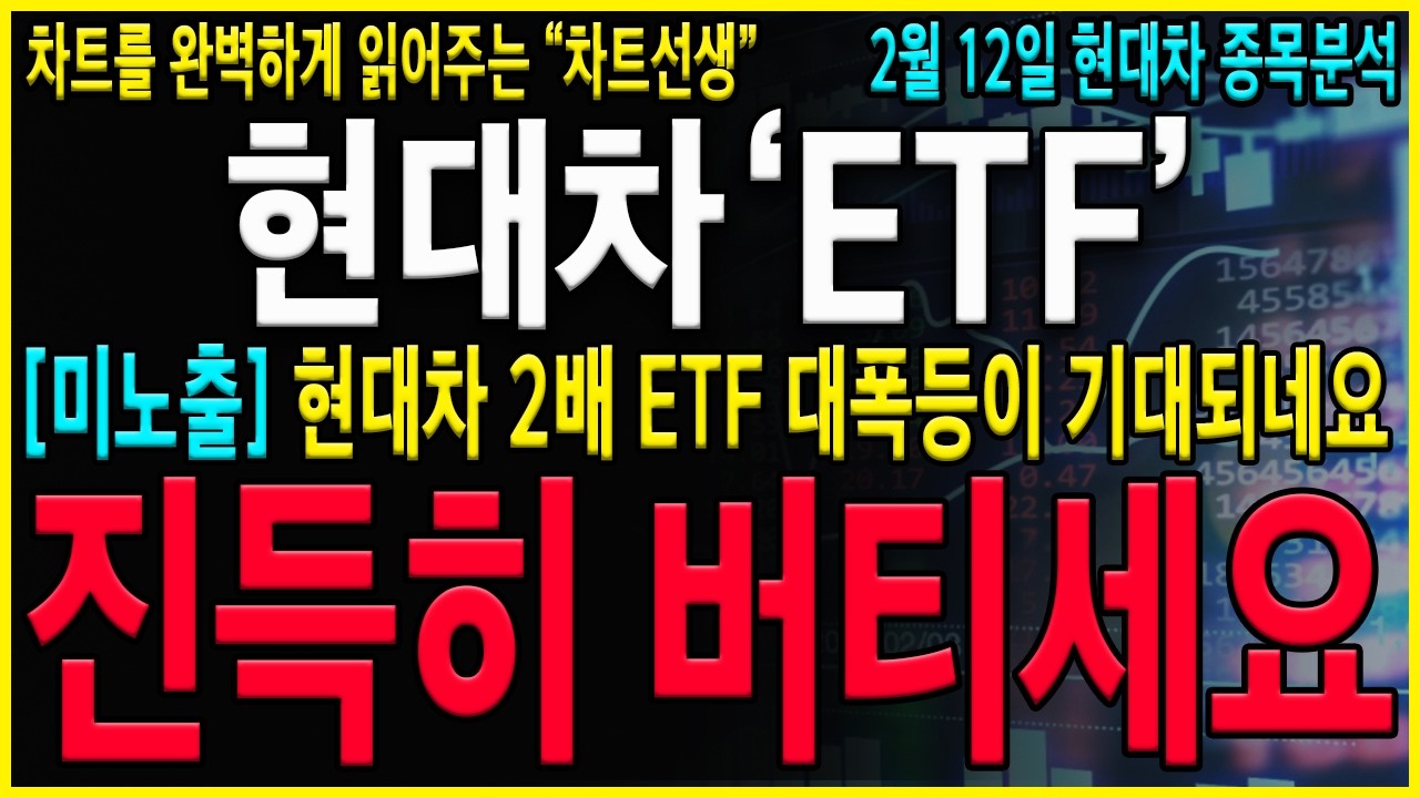 [현대차 주가 전망] 