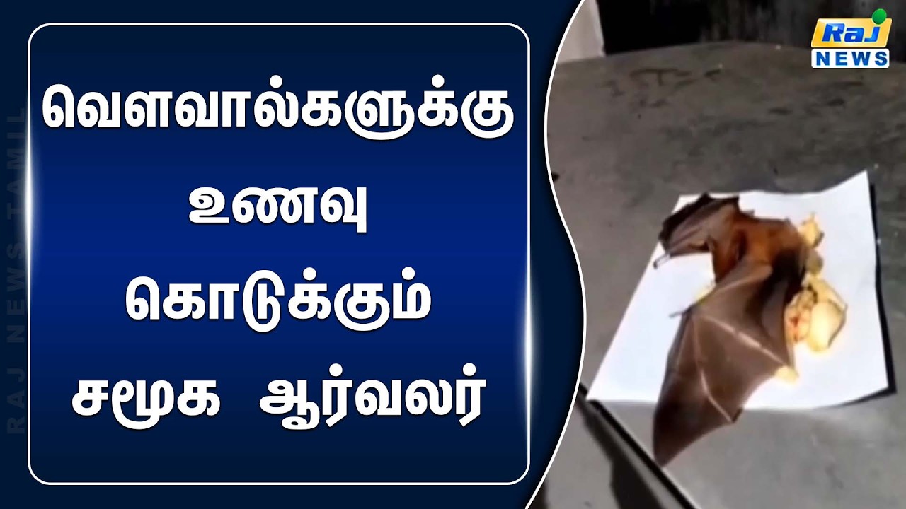 புதுச்சேரி அருகே தொடர்ந்து 5 ஆண்டுகளாக வௌவால்களுக்கு உணவு கொடுக்கும் சமூக ஆர்வலர்!