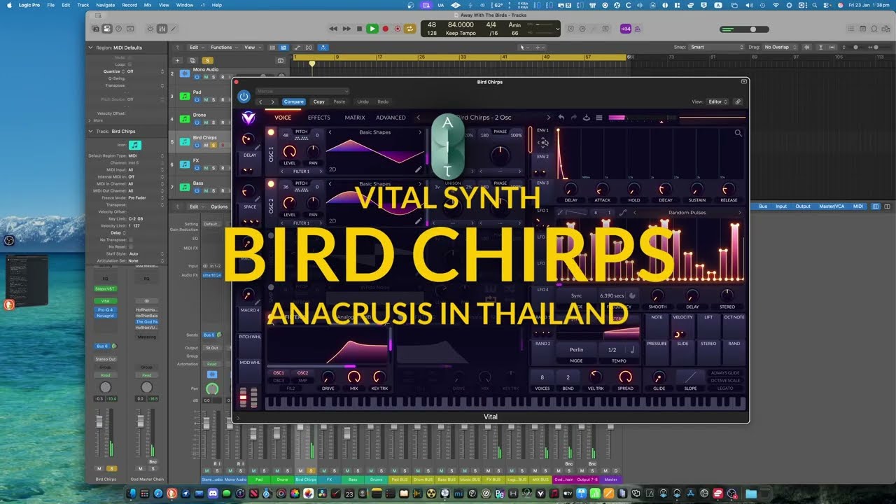 How To Create Bird Chirps With Vital Synth - A Step by Step Guide with a Song Example