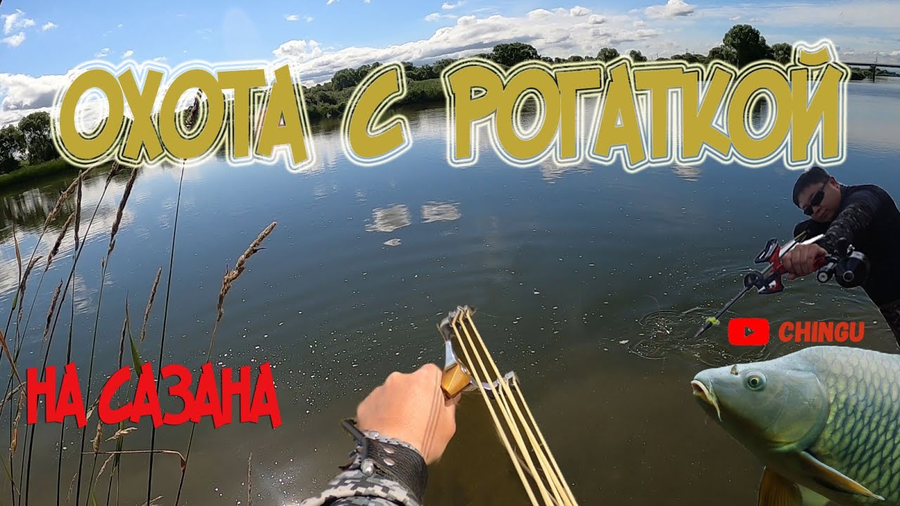 Удачная охота на Сазана в мутной воде, Slingshot Fishing 2021