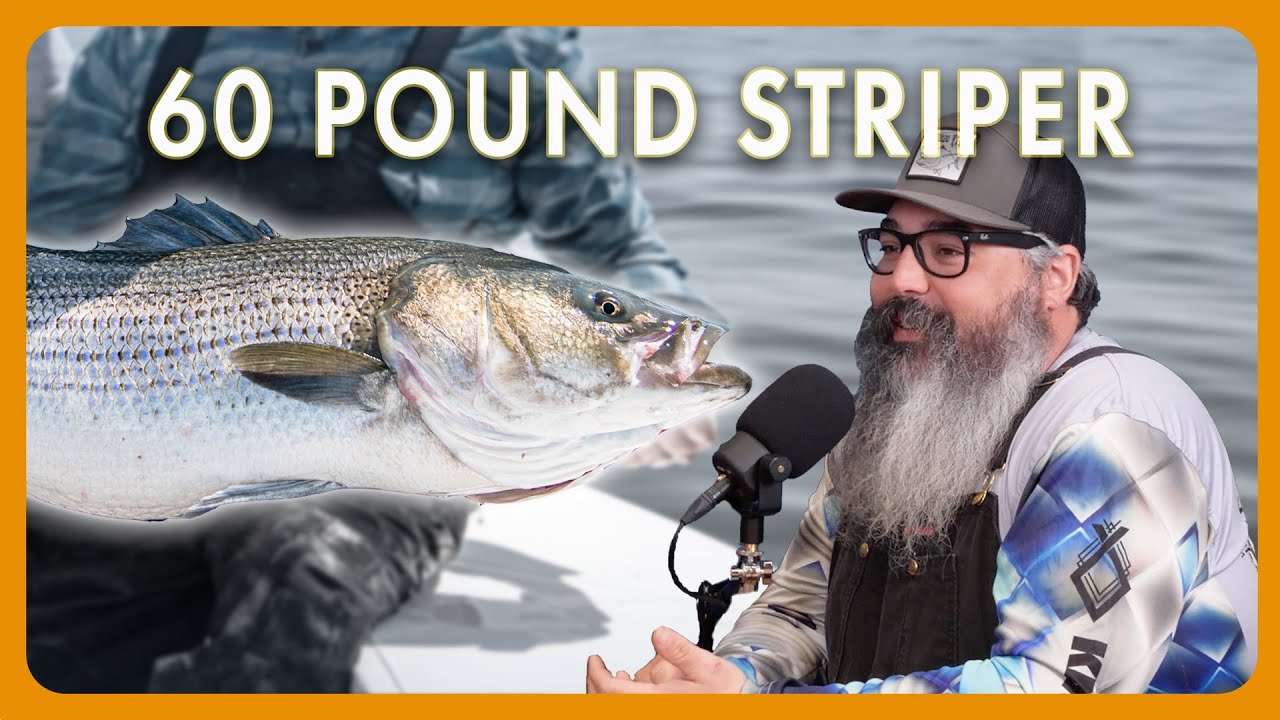 Catching a 60-Pound Striped Bass in Boston | OTW Podcast Clips