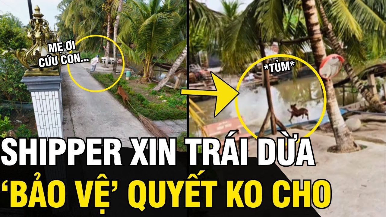 Anh shipper giao hàng tiện XIN TRÁI DỪA, ko ngờ bị dàn BẢO VỆ kịch liệt TRUY ĐUỔI | Tin Ngắn 3 Phút
