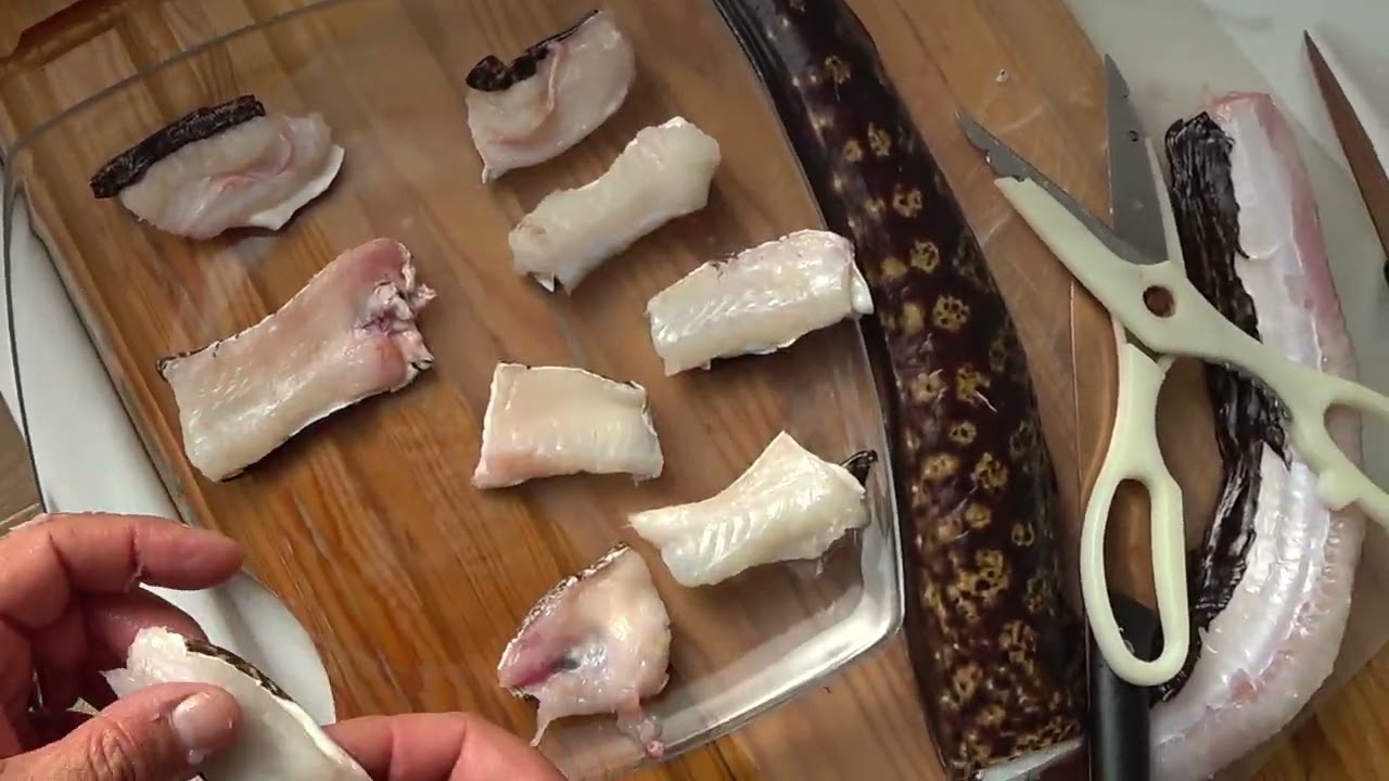 come sfiletto la murena, pescata qualche giorno fa, e come friggo il filetto