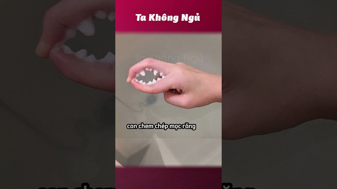 C&aacute;ch đi tắm đỡ ch&aacute;n 🦀 #takhongngu