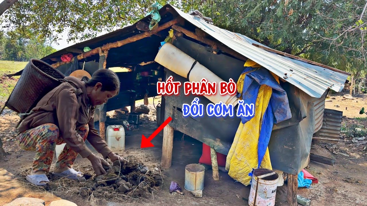 Con người t&agrave;n tạ, ng&ocirc;i nh&agrave; dột n&aacute;t, cuộc sống lang thang, bữa đ&oacute;i bữa no - tập 634