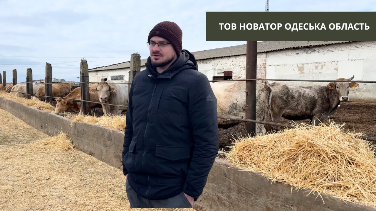 #307 ВРХ в посушливій зоні: чи врятує  no-till господарство ТОВ «Новатор»?