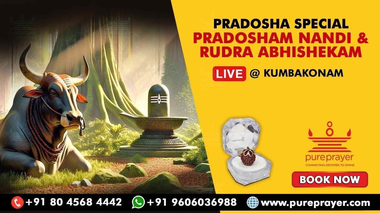 Shani Pradosha Special Nandi Abhishekam LIVE from Kumbakonam