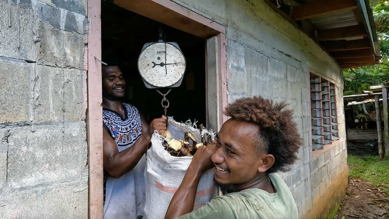The Village Entrepreneurs: The Kava Business🇫🇯