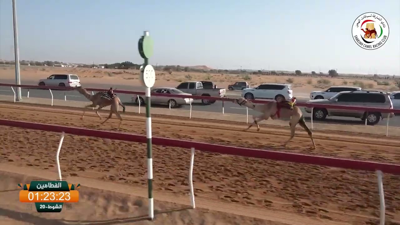 ميــدان الذيد - ش 20 الفطامين 07/03/2026 شاهين / مسلم بن علي بن سعيد الساعدي التوقيت : 2:07:91