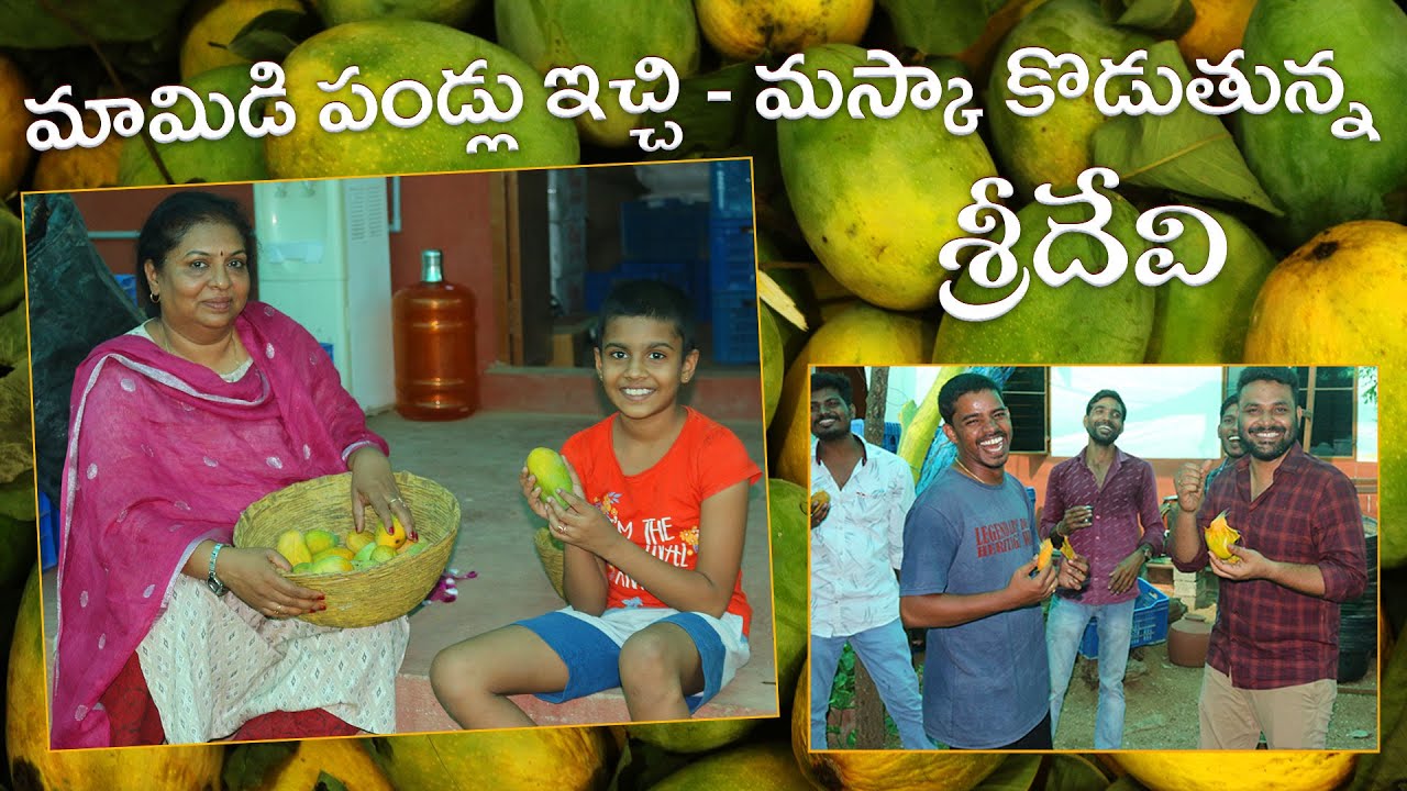 మా పిల్లలను ఇలా కూడా మస్కా కొడుతుంటాను/ మామిడి పళ్ళు / Farm fresh Mangos