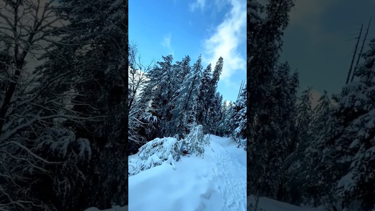 Snowfall at Pipeline Track Ayubia 