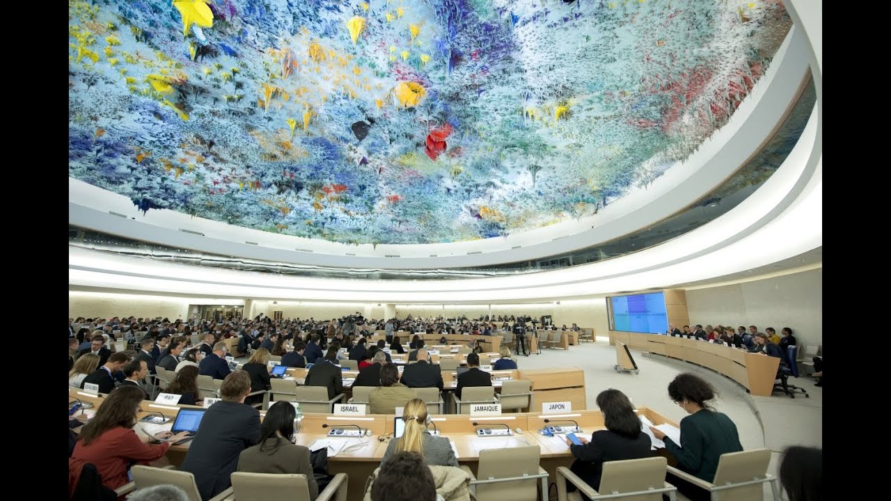 The United Nations and Human Rights: A Critical Appraisal