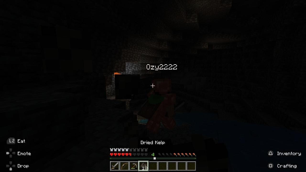 Minecraft_20260209212127