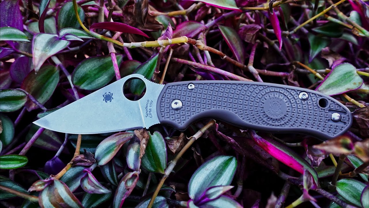 Anche io ho ceduto... Para 3 LW 15 V