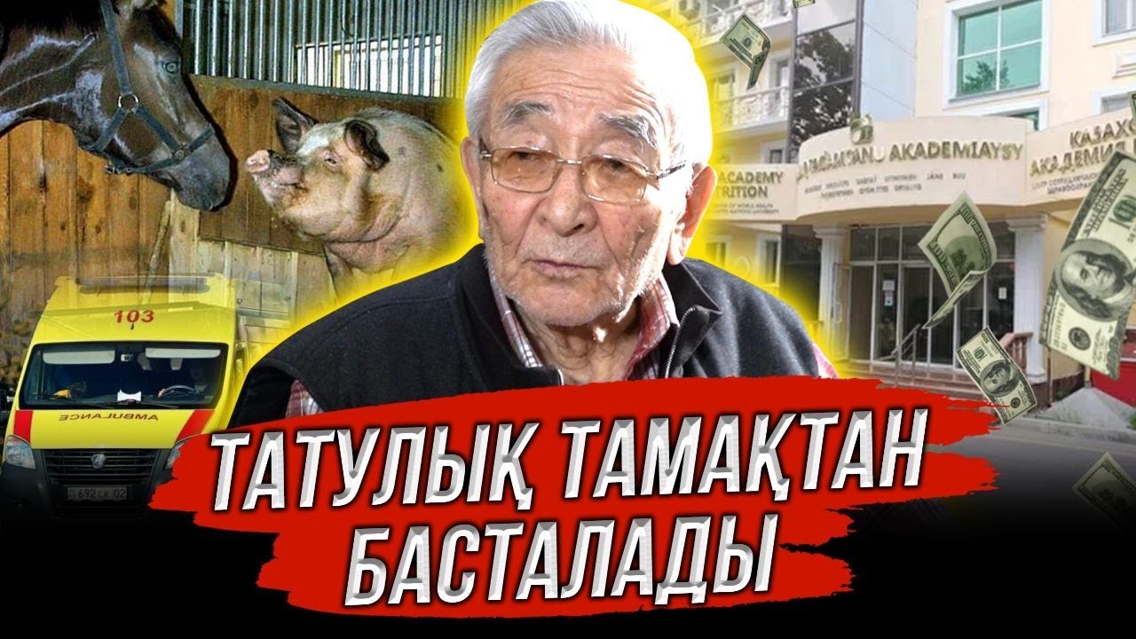 Өмір сапасын қалай арттырамыз? | Жылқы мен шошқаның айырмашылығы | Төрегелді Шарманов #adyrna