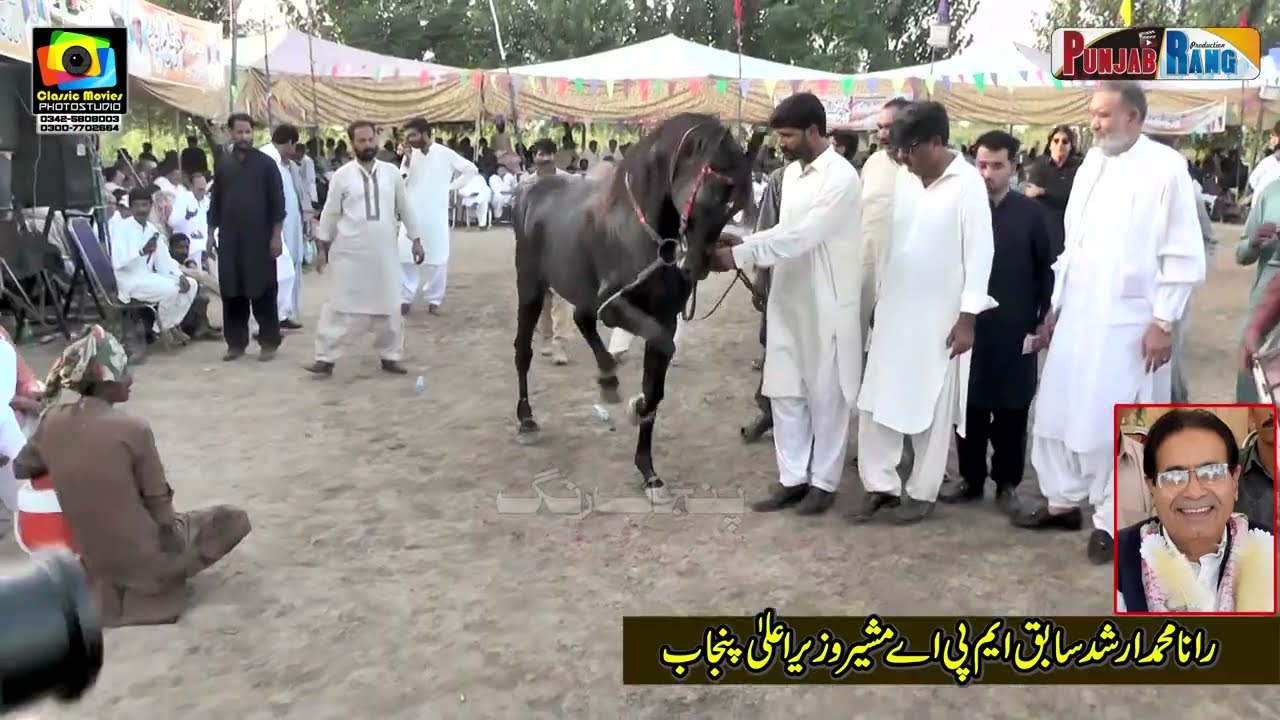 Ata e Mola l Ghulam e Ali  l Horse Dance 1st October 2023 l Mehmood Pura Chak No 1 Nankana l ali