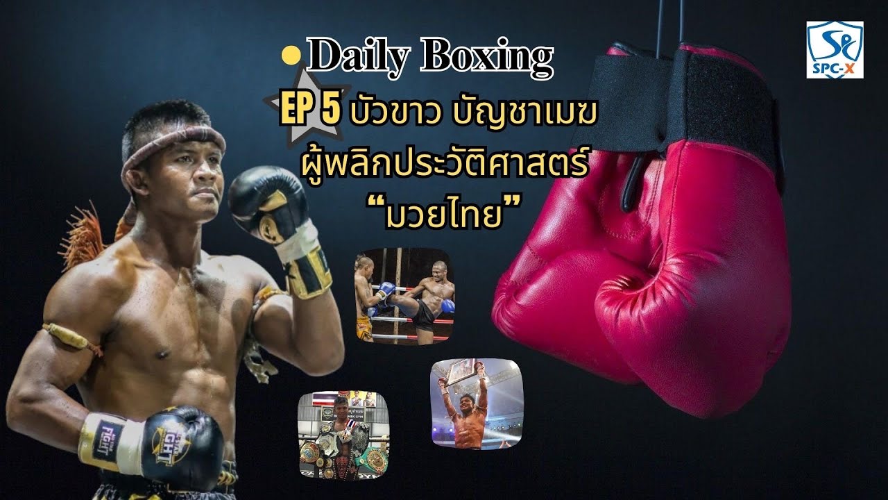 บัวขาว บัญชาเมฆ ผู้พลิกประวัติศาสตร์มวยไทย Daily Boxing EP.5