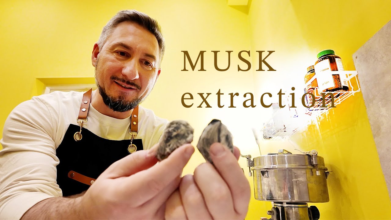 Парфюмерные дневники Ясина Анвари. Мускус  Экстракция