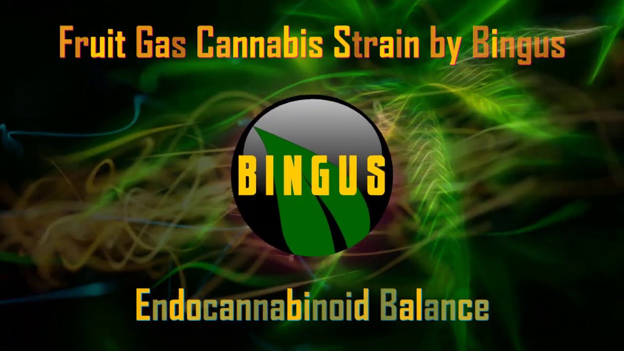 Fruit Gas Cannabis Strain by Bingus