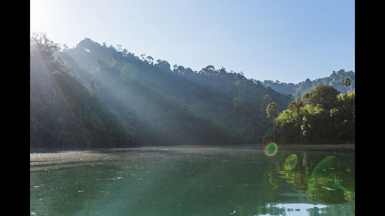 Khao Sok   ...a trip into the beautiful