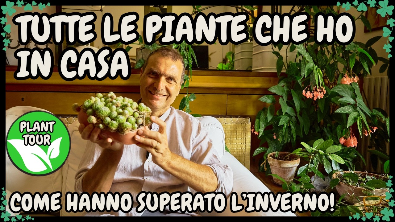 🌱 PLANT TOUR INVERNALE: ecco TUTTE le PIANTE del mio APPARTAMENTO (+ qualche consiglio) 🌱