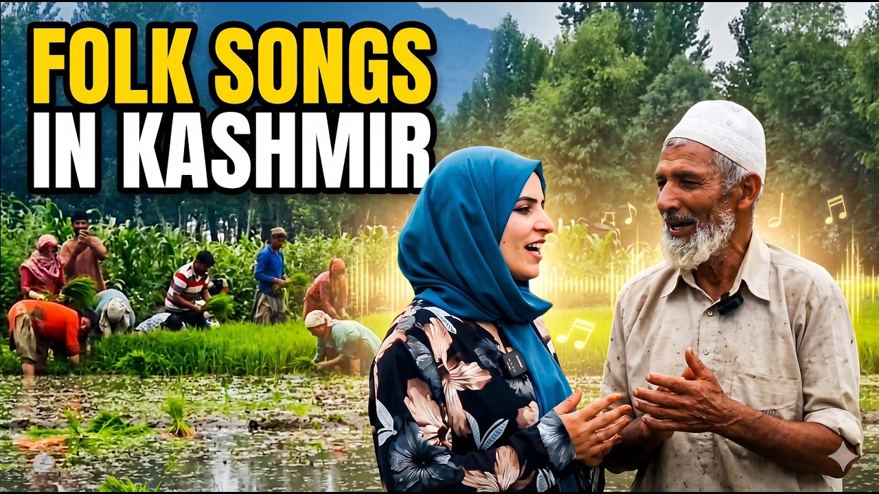 Народные песни разносятся по всему Кашмиру в преддверии пика посева риса | Kashmir Outlook