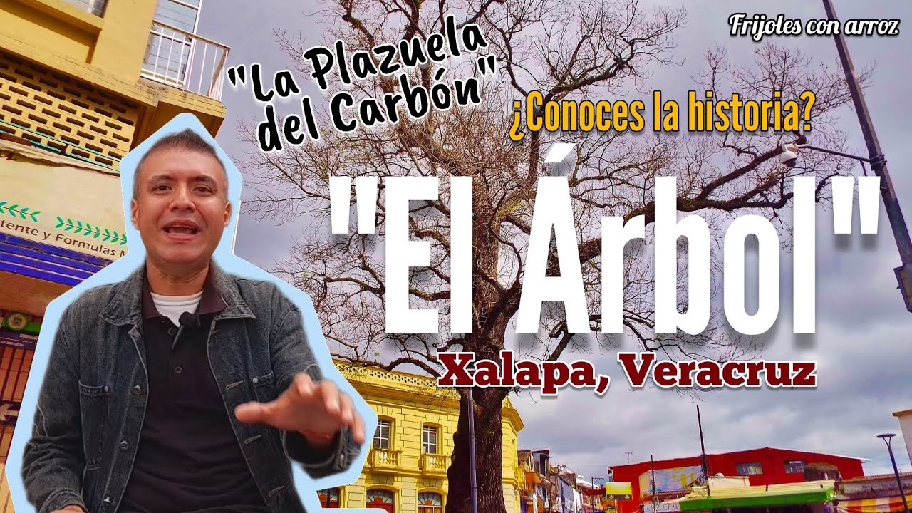 La historia de 