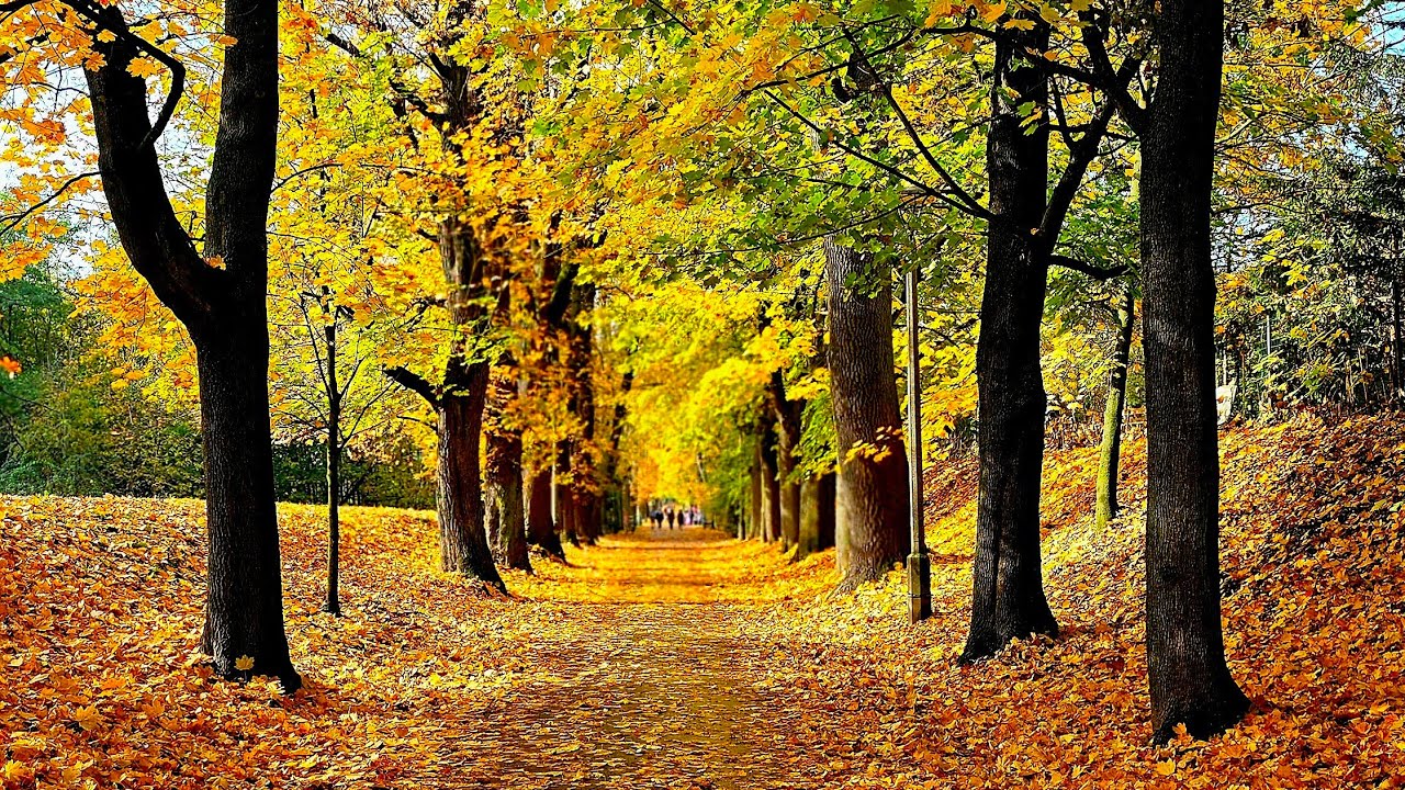 Tyniec -Kraków -Park Bednarskiego
