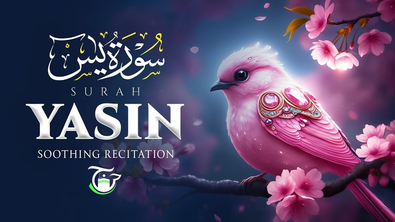 Surah Yaseen (سورة يس) | Beautiful & Peaceful Quran Recitation | Relaxing Quran Tilawat | My Zikirtv