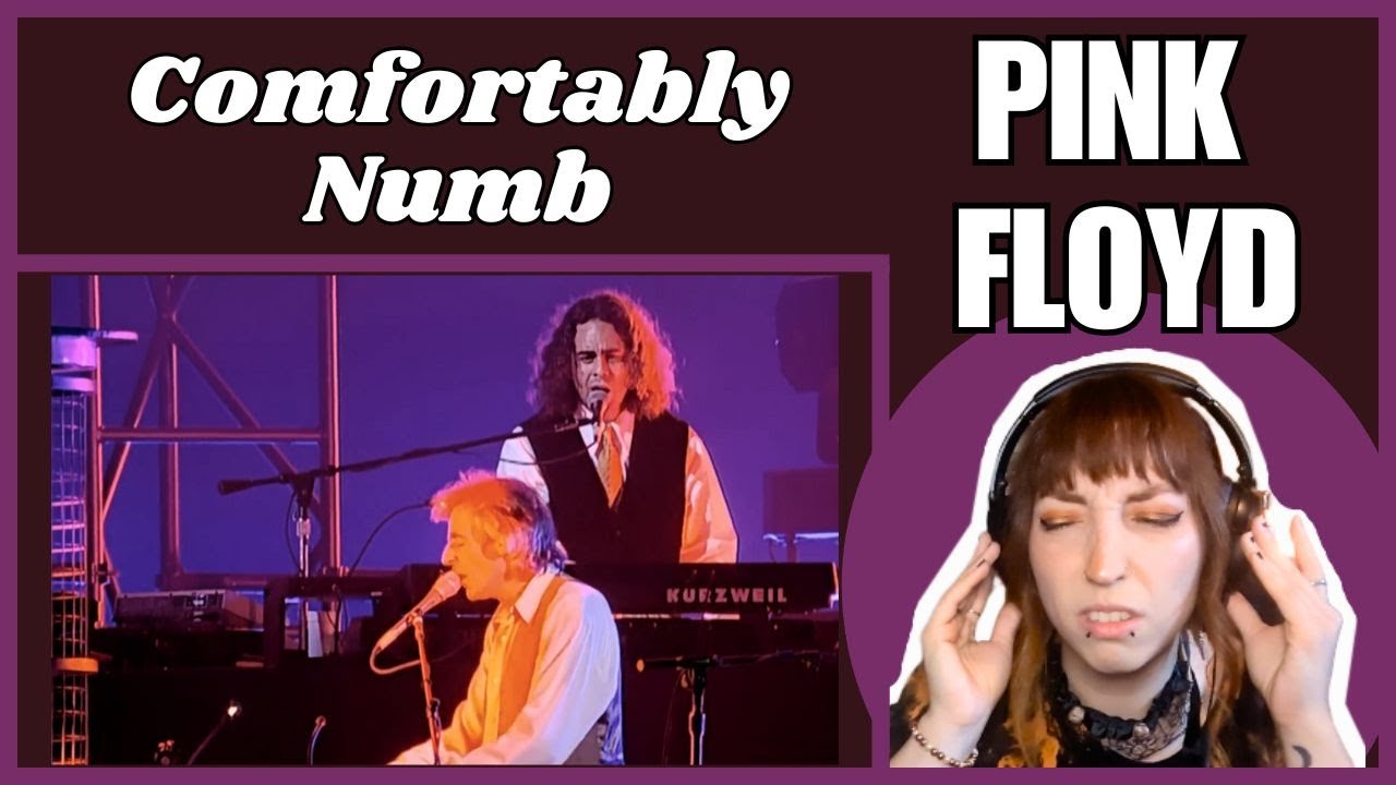 BLISSFUL | Pink Floyd | COMFORTABLY NUMB Live (Reaction)