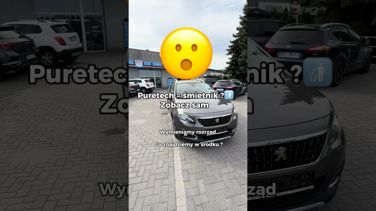 Czy PureTech to ŚMIETNIK? 🔧 Wymiana paska w oleju po 100 000 km i 6 latach, konkretne fakty na żywo