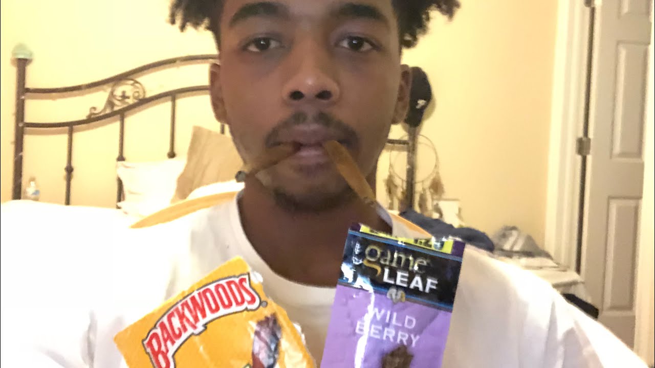 Backwoods Vs. Game Leaf 🔥🍃