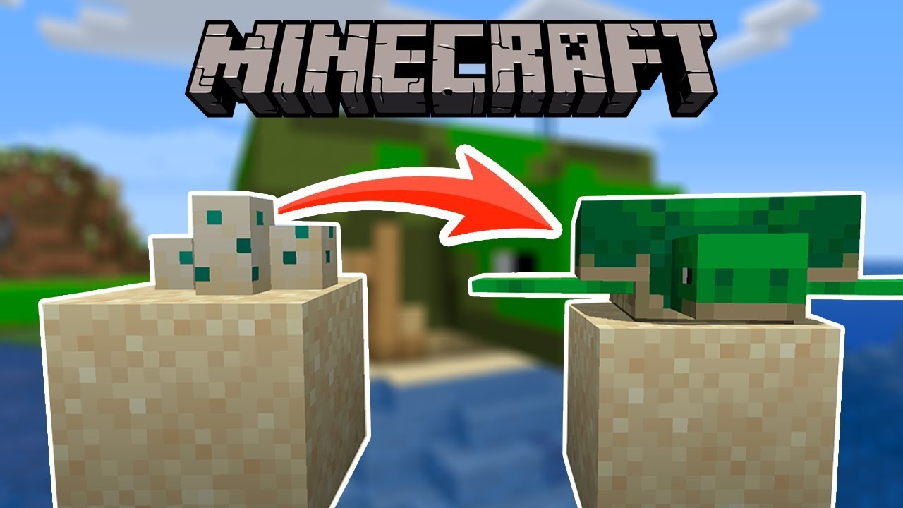 COMO FAZER UMA FARM DE TARTARUGA NO MINECRAFT! NapoleWorld #96