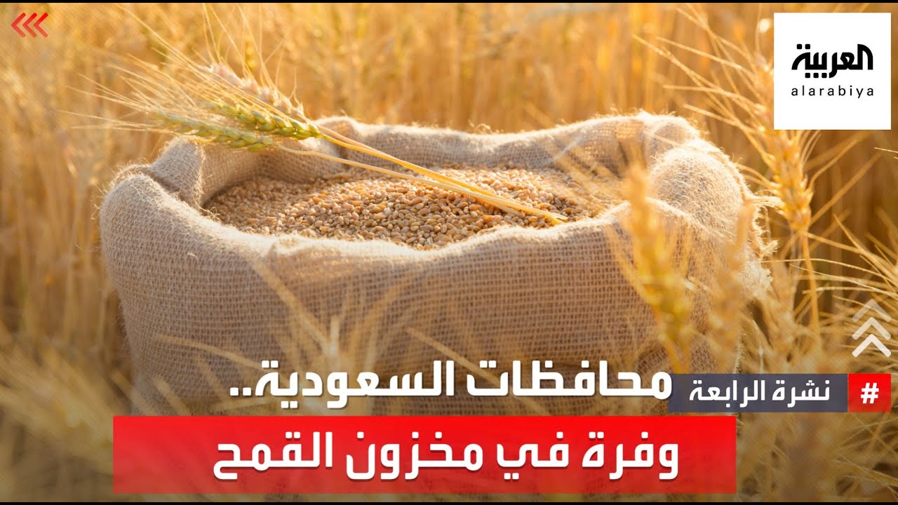الأحساء.. 200 ألف طن من القمح تعزز وفرة المخزون