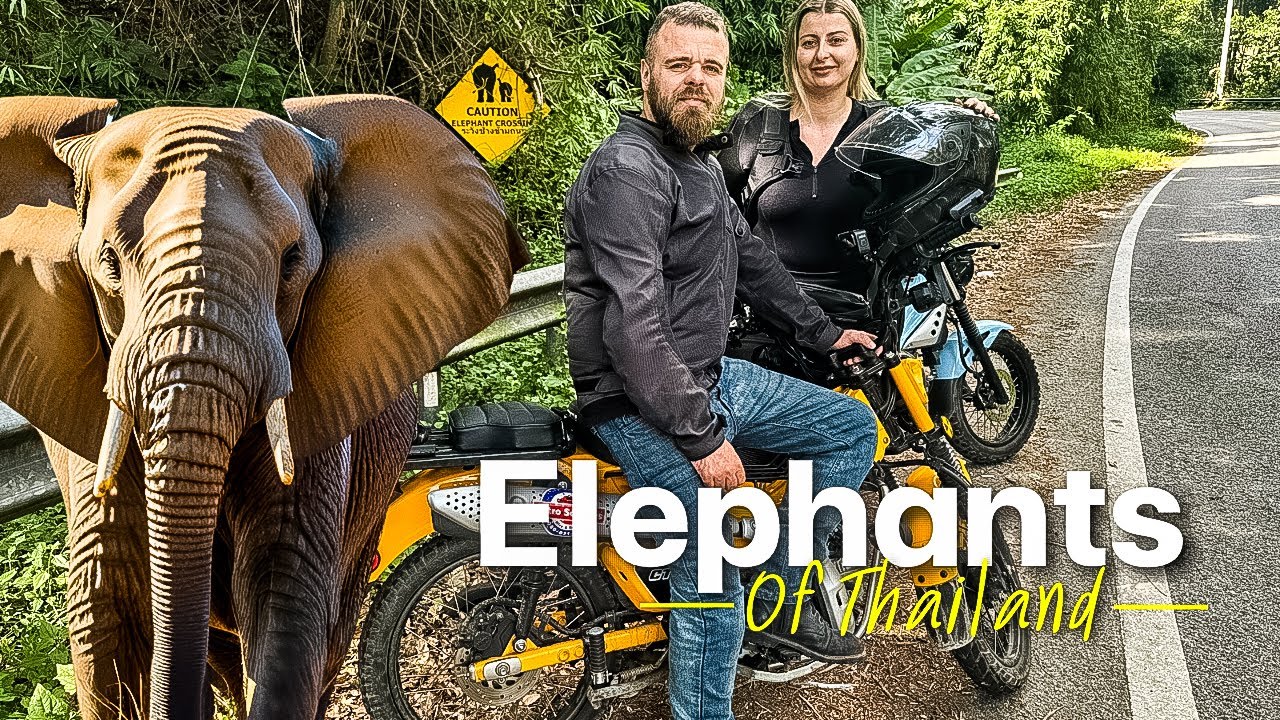 EP28 Motorcycle Tour Chiang Mai - Crossing the Line with Elephants?