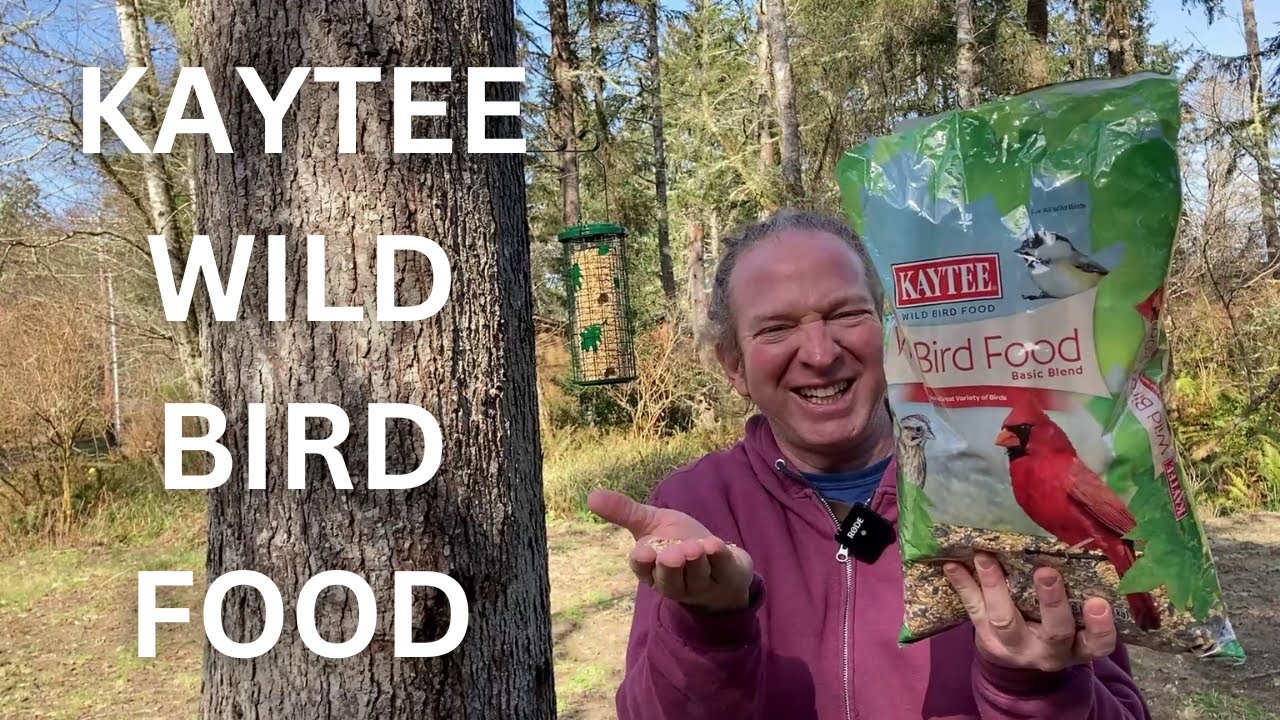 The BEST Bird Food on a Budget
