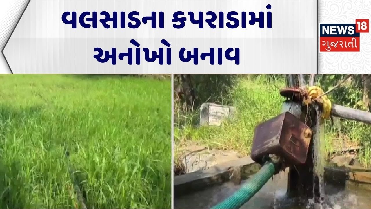 Valsad News | વલસાડના કપરાડામાં અનોખો બનાવ | Kaprada | Gujarat | Gujarati News | News 18 Gujarati