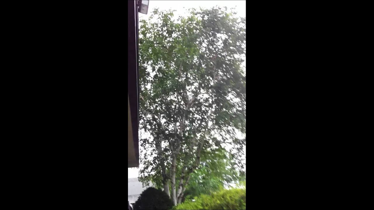 Live Fight Caught on iPhone