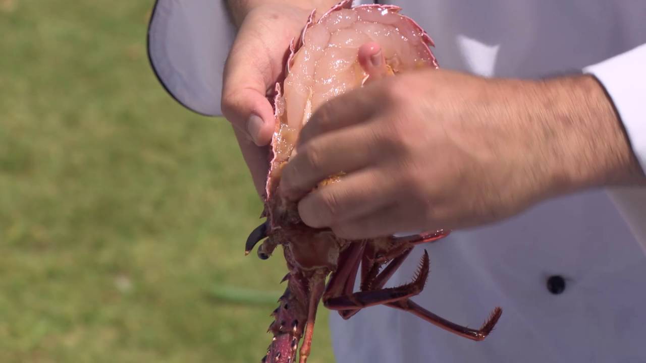 Western Rock Lobster Cooking Tips From Geraldton Fishermen's Co-operative
