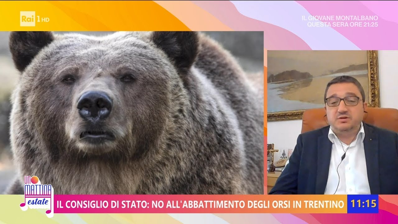 Possibile la convivenza tra uomini e orsi? - Unomattina Estate 17/07/2023