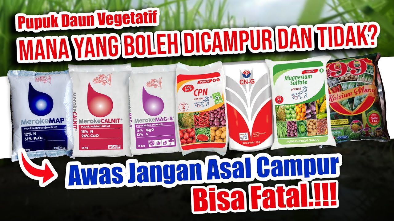 WAJIB TAU.! PUPUK YANG BOLEH DAN TIDAK BOLEH DICAMPUR | Agar Tanaman Subur & Sehat - Fase Vegetatif