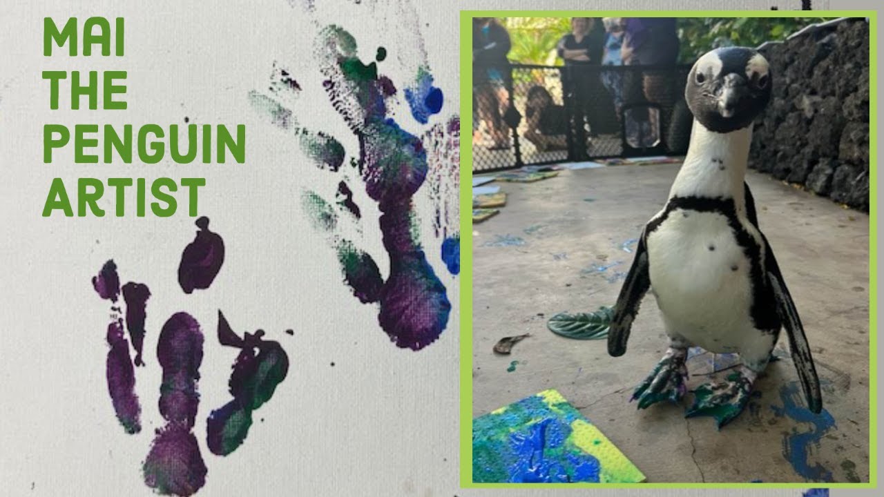 Painting with Mai the African Penguin