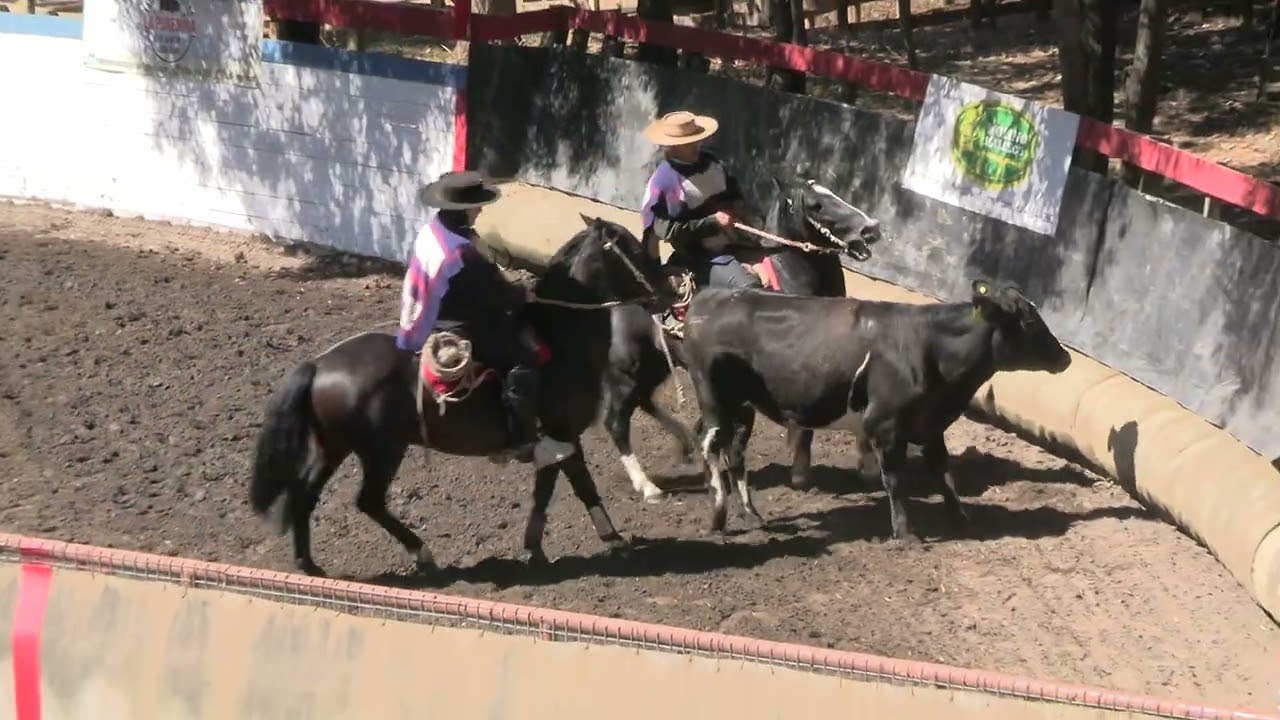 T. 25/26 | Rodeo Lumaco | Serie Criaderos | 07 y 08 de febrero