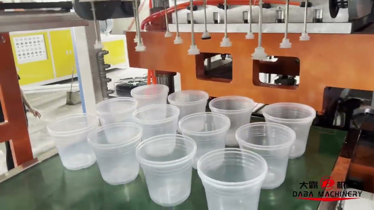 DABA Cup Thermoforming Machine | Automatic Production for Plastic Tubs & Cups